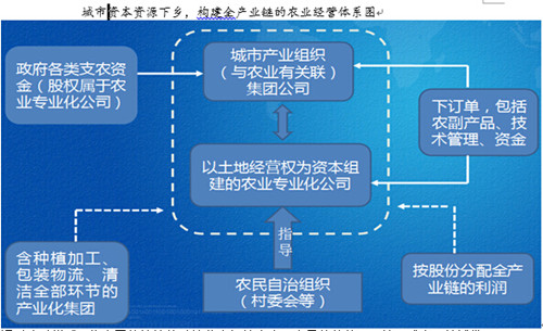 中國(guó)經(jīng)濟(jì)體制改革基金會(huì)楊慶育：重慶統(tǒng)籌城鄉(xiāng)綜改案例及深化改革方向